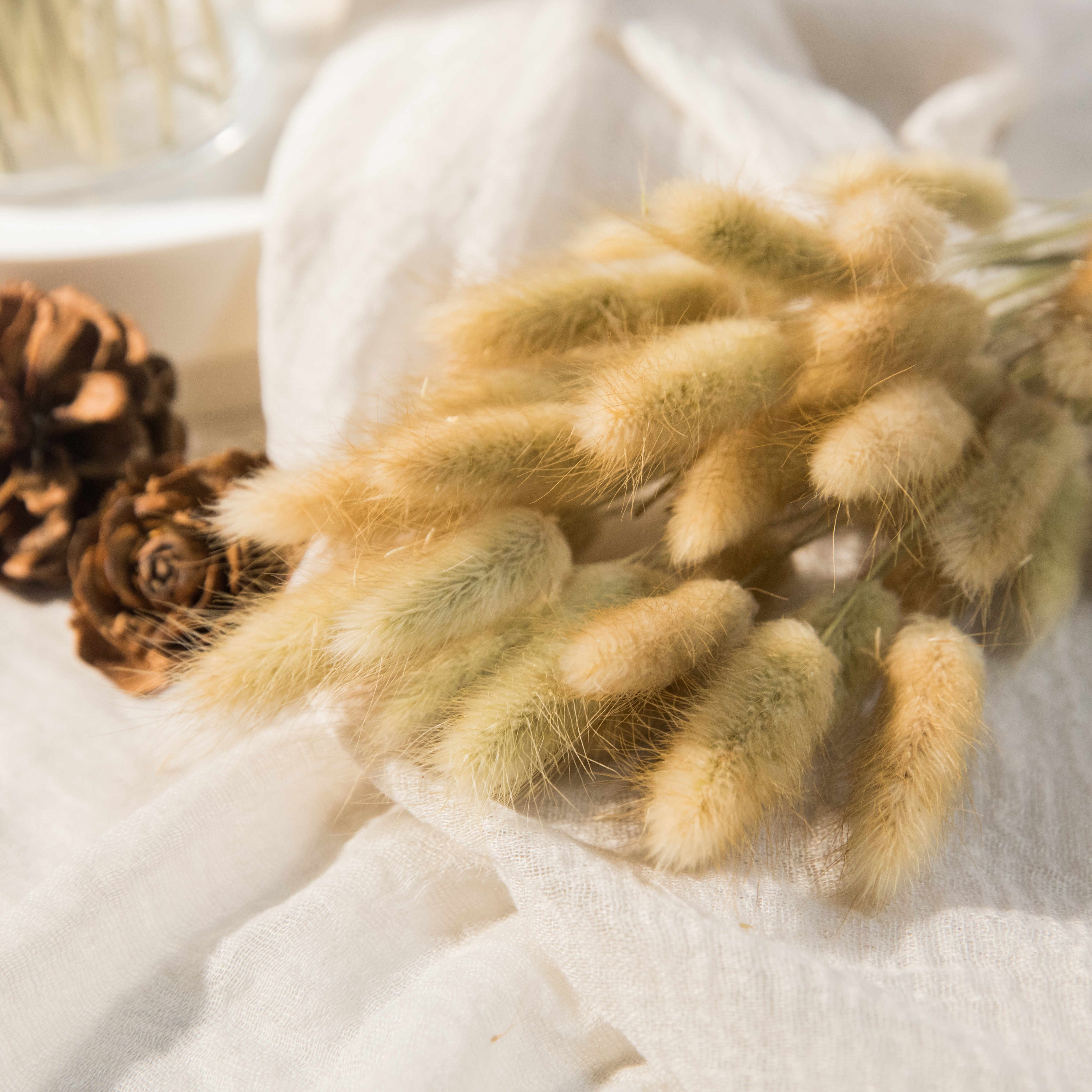 Yunnan Xiangnan Preserved Flower Supplier Lagurus Natural Dried Uraria Bunny Tails Bouquet Dried Flowers For Table Bedroom Decor