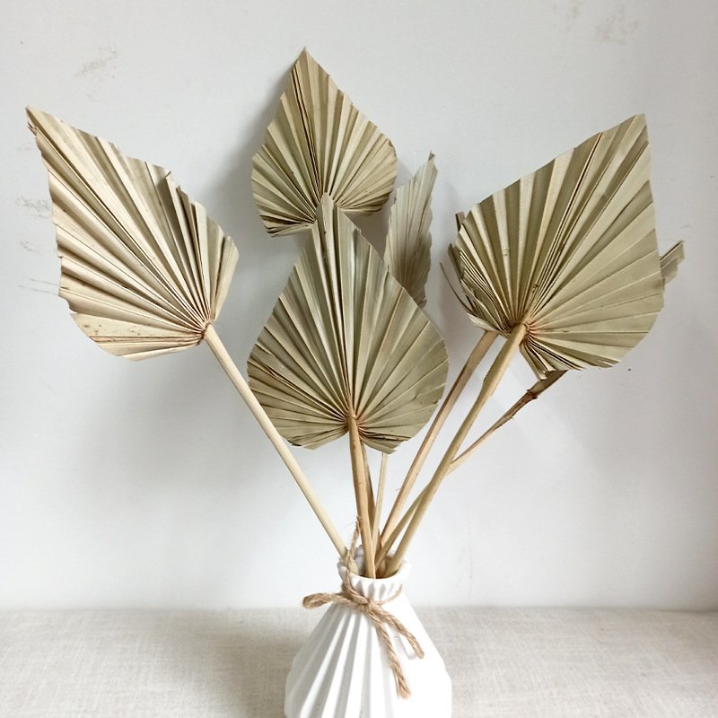 Ins Boho Style City Blooms Mini Flower Dried Palm Leaves Spears Natural Dried Palm Fans Leaf for Wedding Decoration Arragnement
