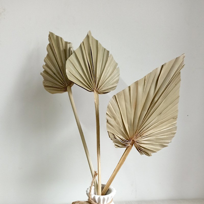 Ins Boho Style City Blooms Mini Flower Dried Palm Leaves Spears Natural Dried Palm Fans Leaf for Wedding Decoration Arragnement