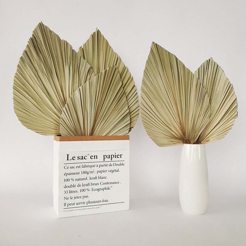 Factory Natural Dried Flowers Large Pampas Grass for Home Pampas Grass Wedding Centerpieces