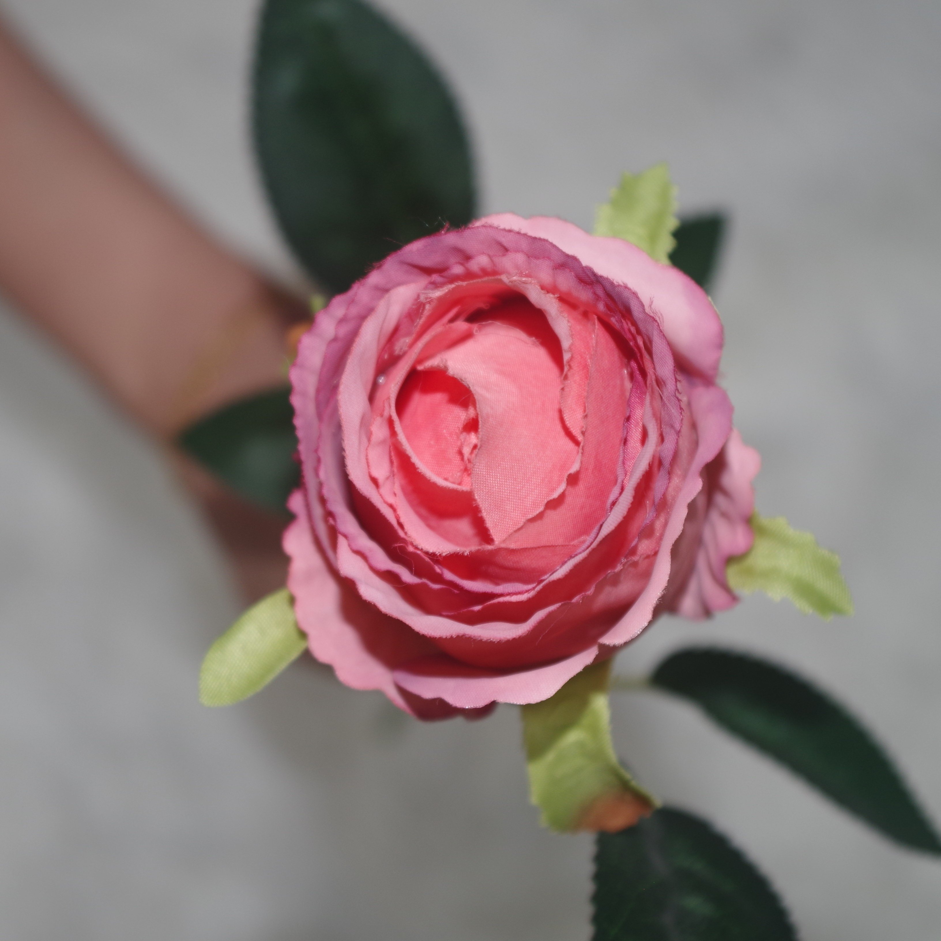 High Quality Bulgarian Rose Artificial Wedding Flowers Dried Material Decorative Flowers for Weddings-Wholesale