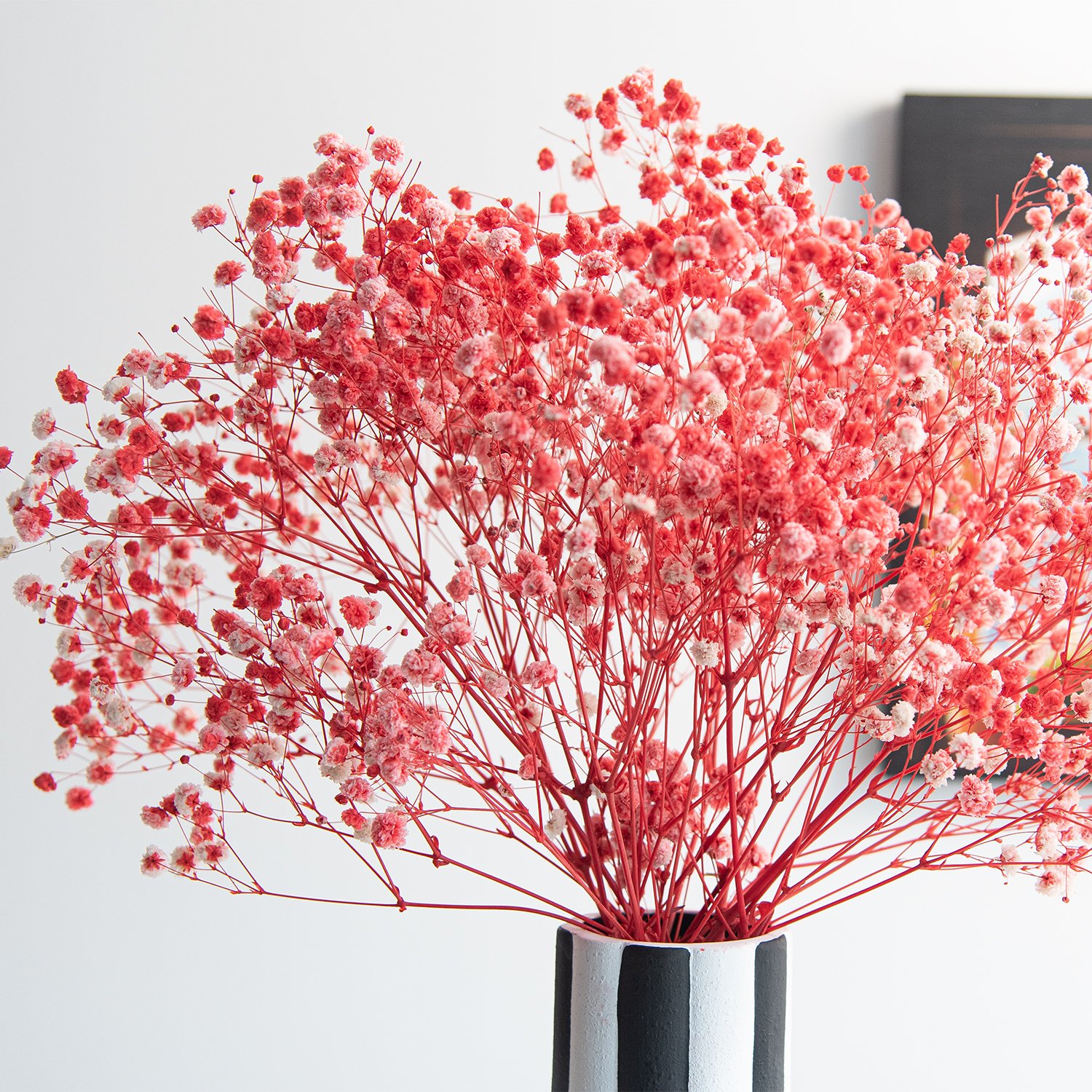 Factory Wholesale red preserved baby's breath floral dried baby breath gypsophila babysbreath bouquet flower