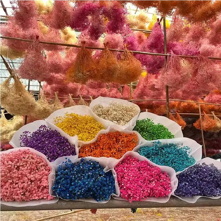 Factory Wholesale red preserved baby's breath floral dried baby breath gypsophila babysbreath bouquet flower