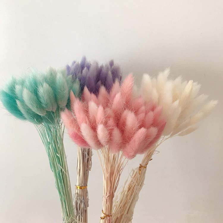 SumFlora instagram hot sale decorative flower dry flower lagurus for floral arrangement&home decoration