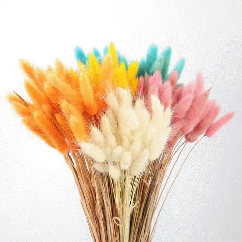 SumFlora instagram hot sale decorative flower dry flower lagurus for floral arrangement&home decoration