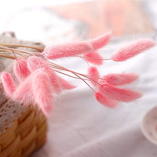 SumFlora instagram hot sale decorative flower dry flower lagurus for floral arrangement&home decoration