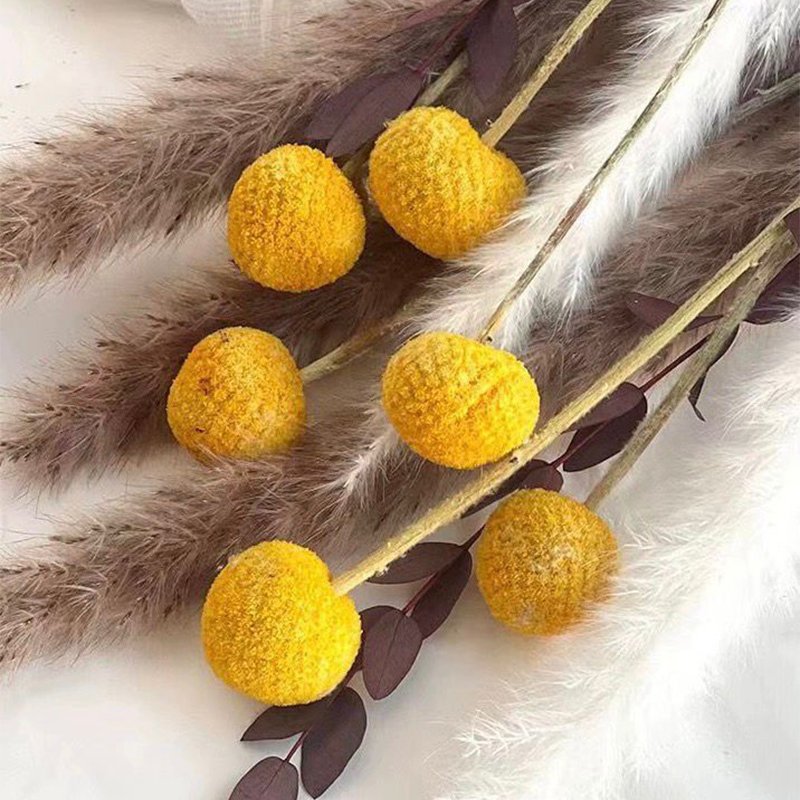 2024 Hot Selling Dried Golden Ball Bouquet Dried Golden Ball Billy Button For Home decoration