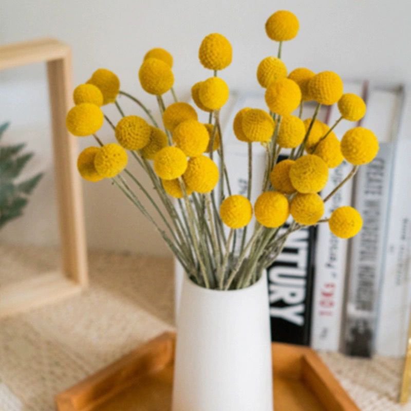 2024 Hot Selling Dried Golden Ball Bouquet Dried Golden Ball Billy Button For Home decoration