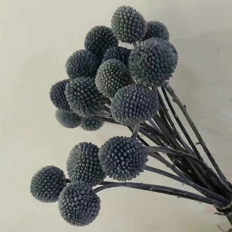2024 Hot Selling Dried Golden Ball Bouquet Dried Golden Ball Billy Button For Home decoration