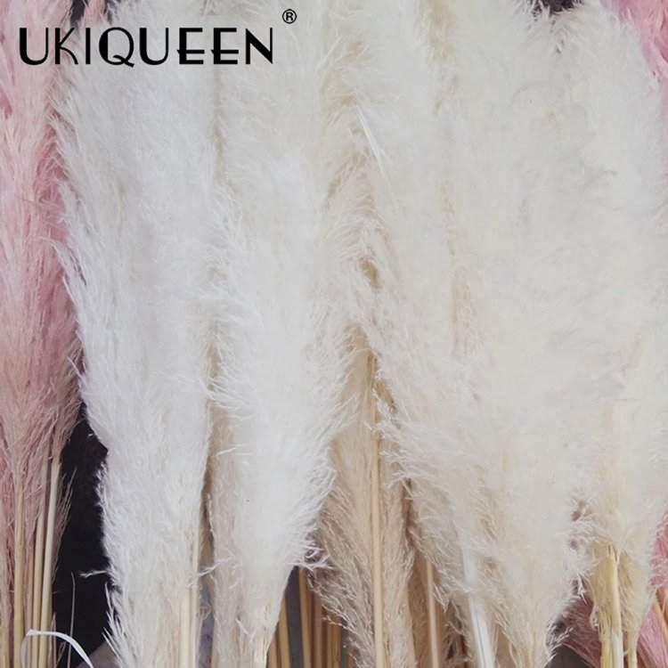 Fluffy Small Pompa Pamps Grass Decor Natural Pampus Plume Panpas Grass Tall Dried Pampasgras Pampass Purple Large Pampas Grass