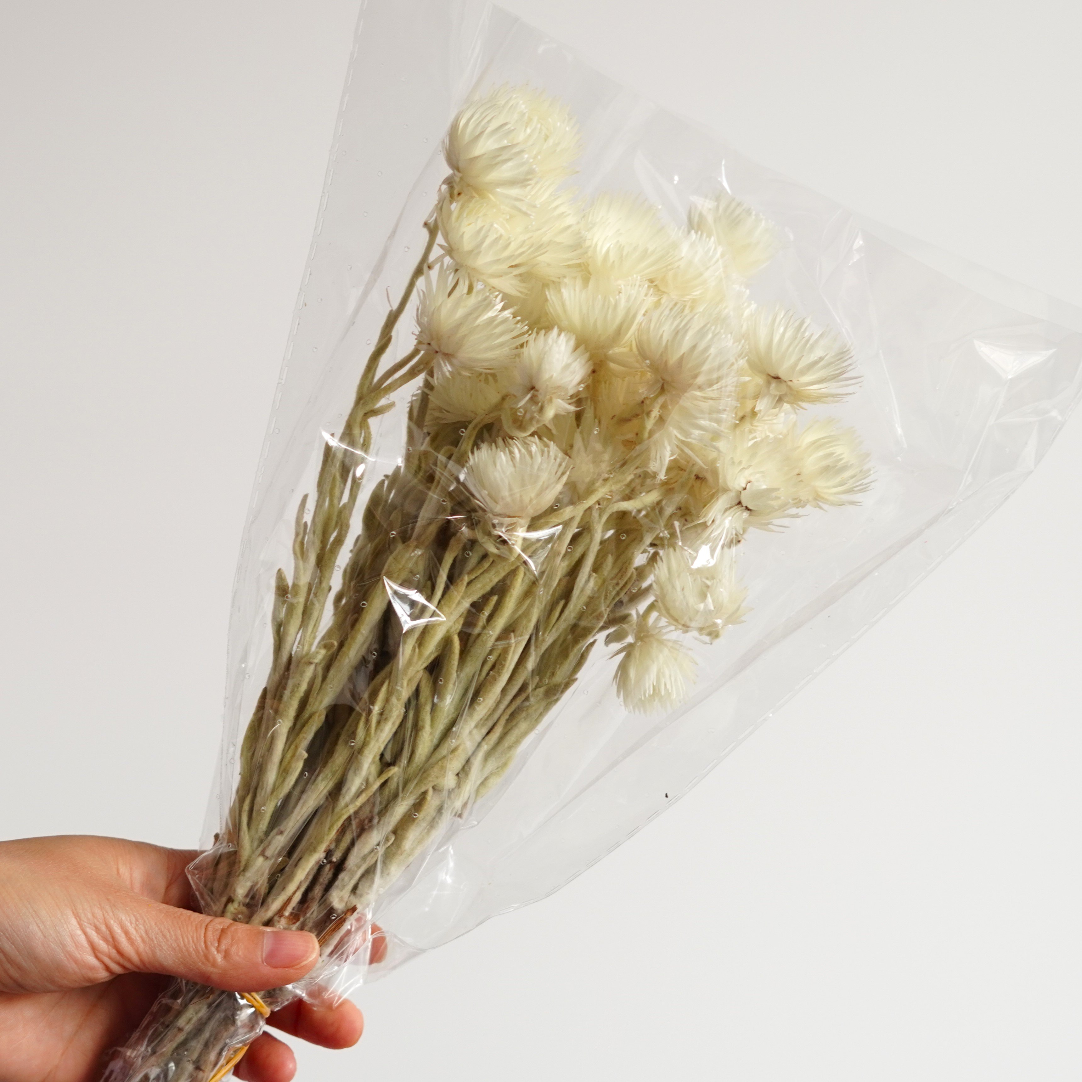 White Strawflowers / Preserved Chrysanthemum Flowers / Perfect for Wedding Home Decor DIY Floral arrangements