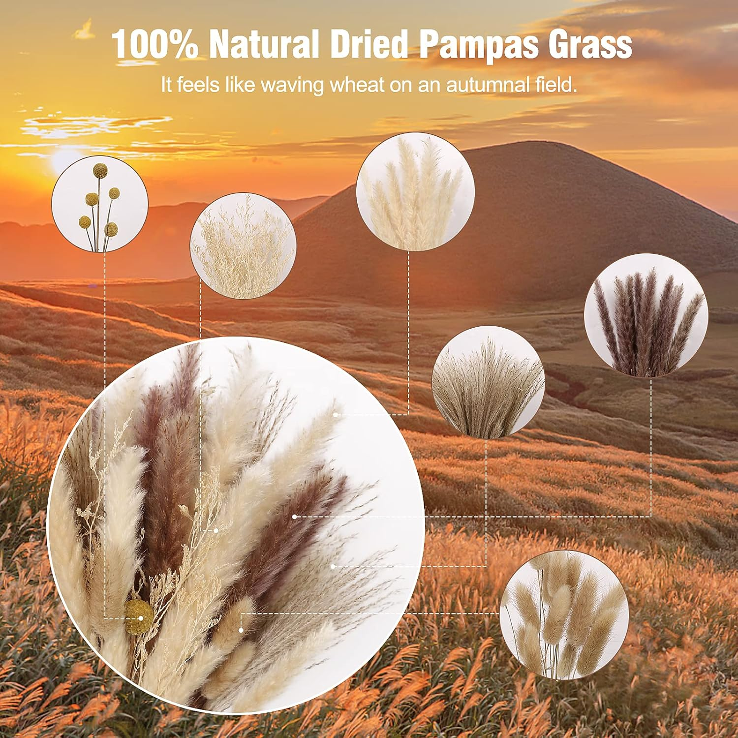 Wholesale dried flowers natural fluffy pampas grass bouquet plant for home party wedding decor