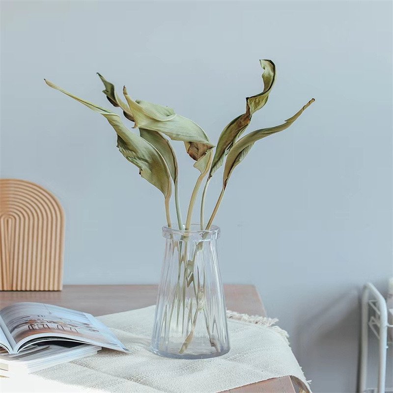 Top Sale Wholesale Bird of Paradise Dried Flowers Bouquet Grass Long Stem Flower for Decoration