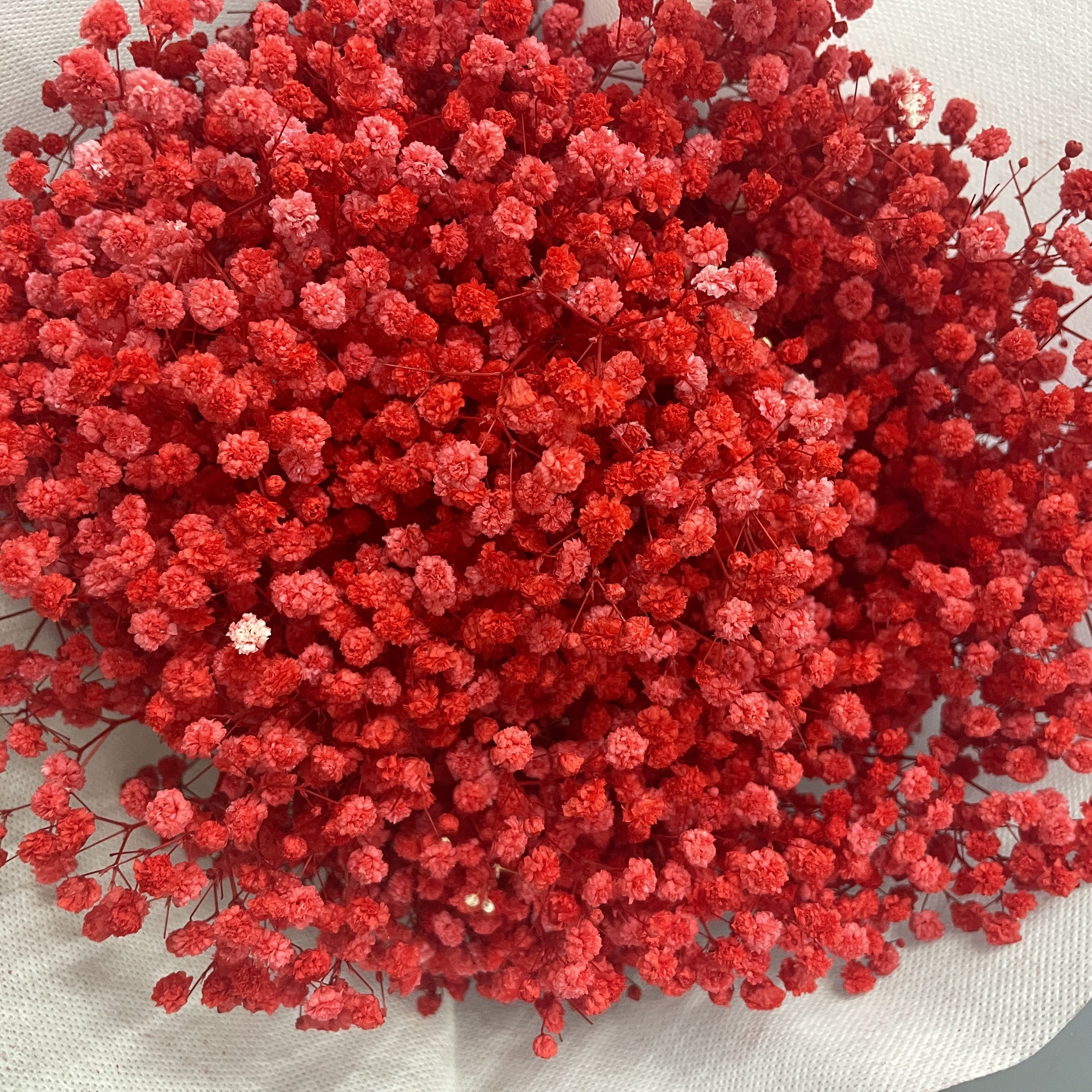 Wholesale Wedding Decoration Preserved Gypsophila Baby Breath Flowers
