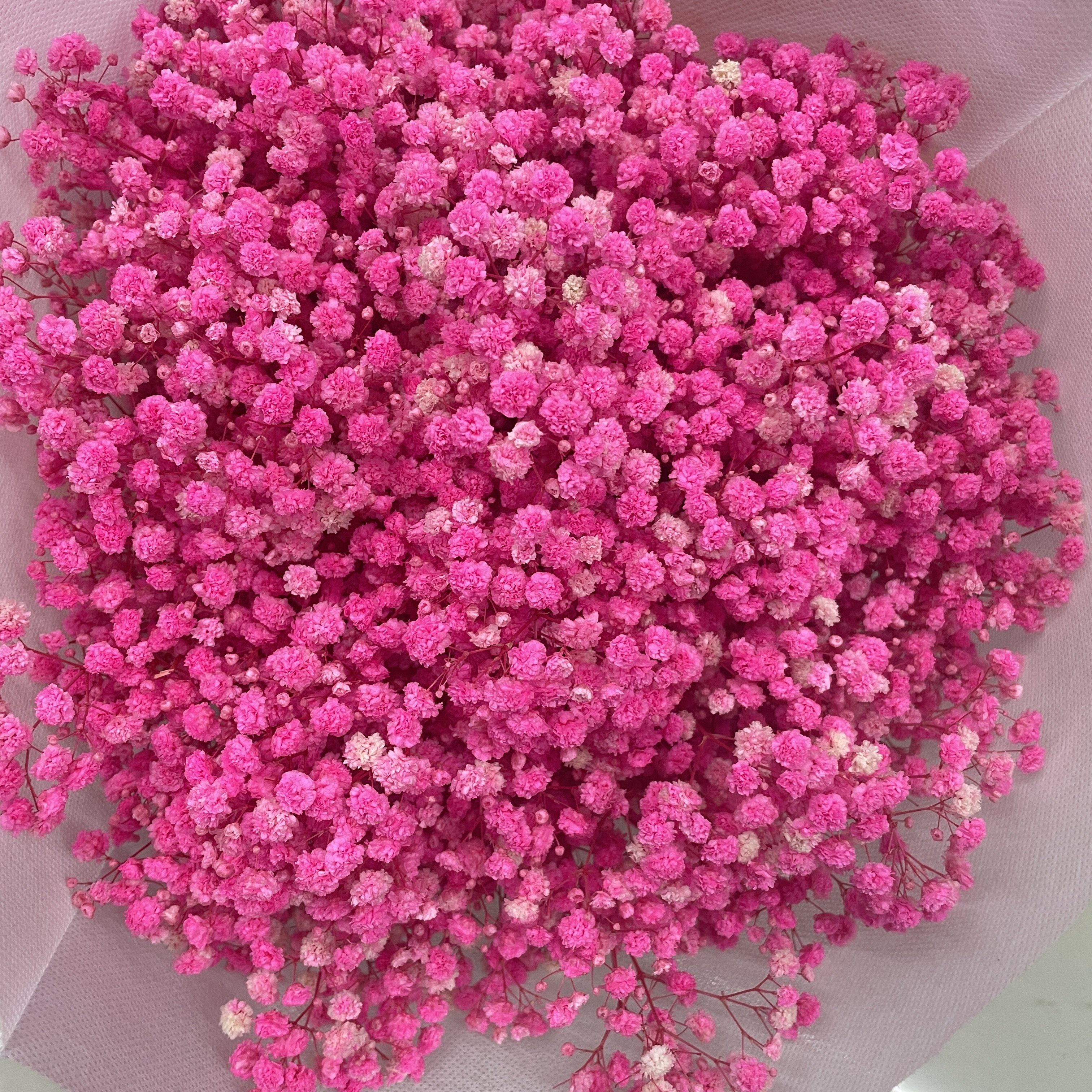 Wholesale Wedding Decoration Preserved Gypsophila Baby Breath Flowers