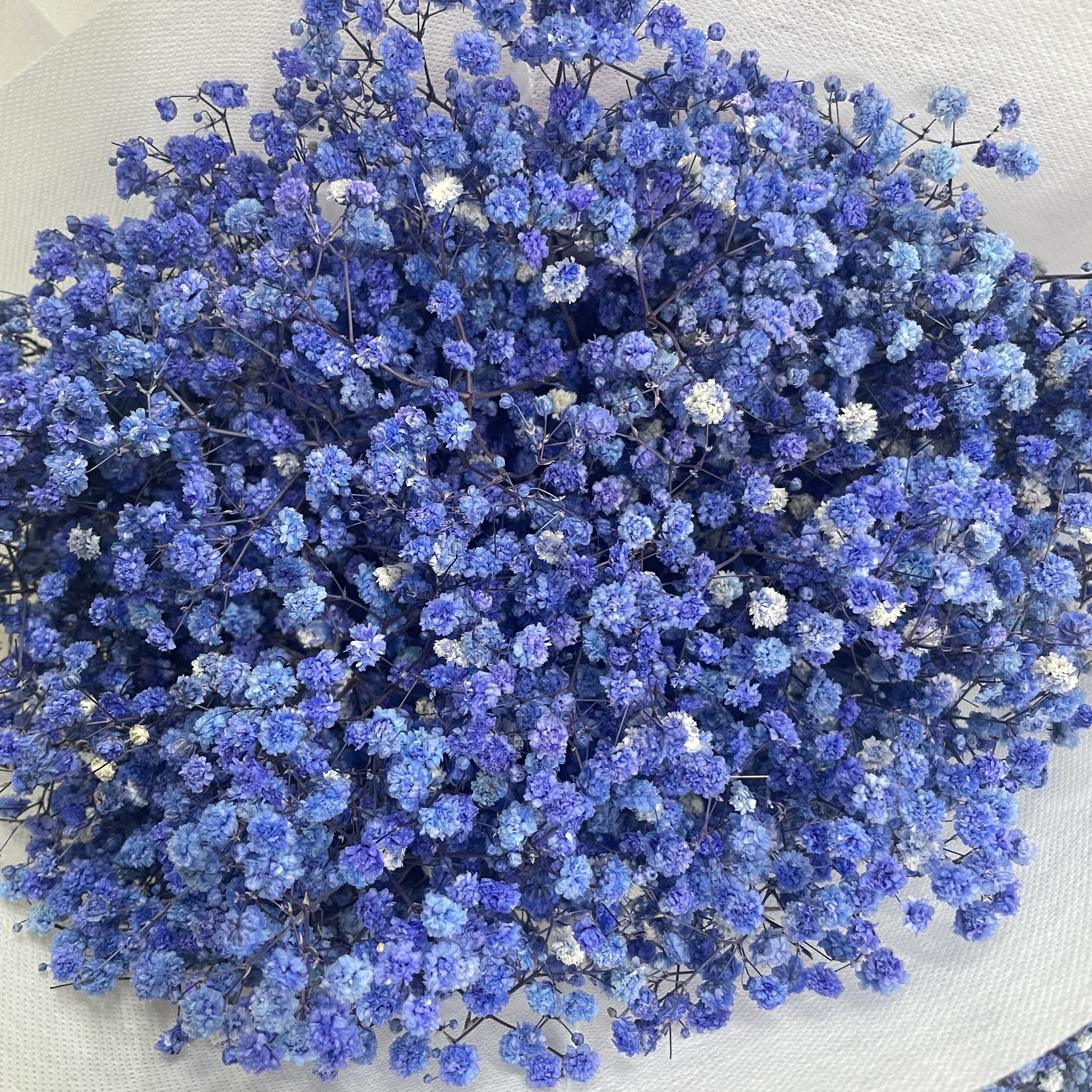 Wholesale Wedding Decoration Preserved Gypsophila Baby Breath Flowers