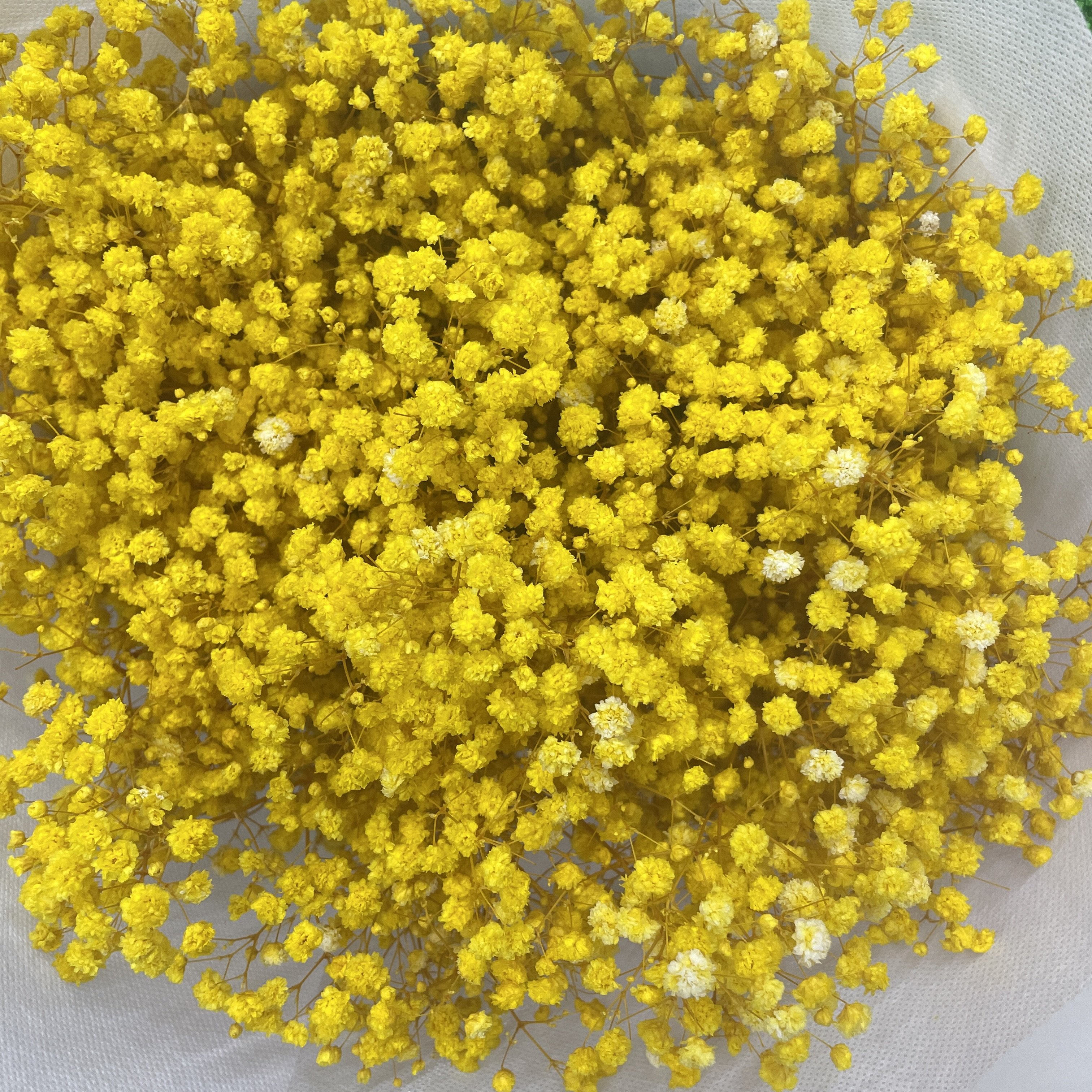Wholesale Wedding Decoration Preserved Gypsophila Baby Breath Flowers
