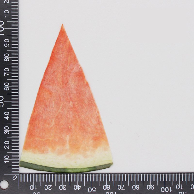 DIY fruit apple carambola watermelon pitaya FIG cantaloupes dried pressed pieces for candle craft phone case making