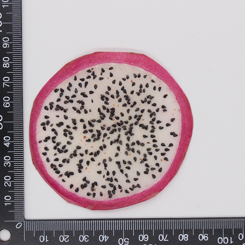 DIY fruit apple carambola watermelon pitaya FIG cantaloupes dried pressed pieces for candle craft phone case making