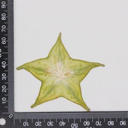 carambola
