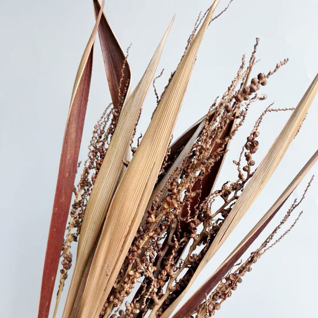 Dried flower export Natural Coco Azedo Stems/Branches/Centerpiece decor/ /Home Decor DIY flower decor