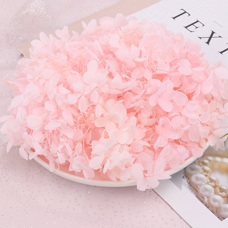 AYOYO OEM Natural Crafts Dried Flowers Hydrangea Petals Crafts Dried Flower Materials Perpetual Flowers