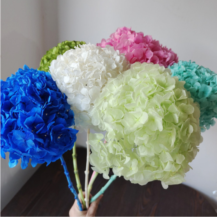 Factory Wholesale Big Leaf Hydrangea Dried Hydrangea Flowers For Wedding Decoration Handmade DIY Bouquet