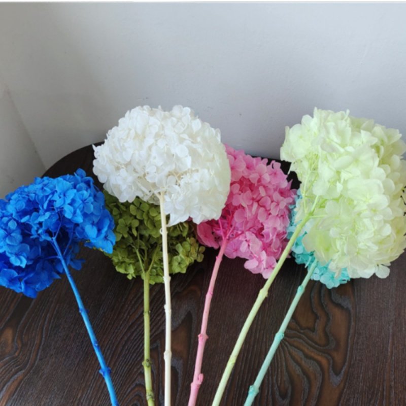 Factory Wholesale Big Leaf Hydrangea Dried Hydrangea Flowers For Wedding Decoration Handmade DIY Bouquet