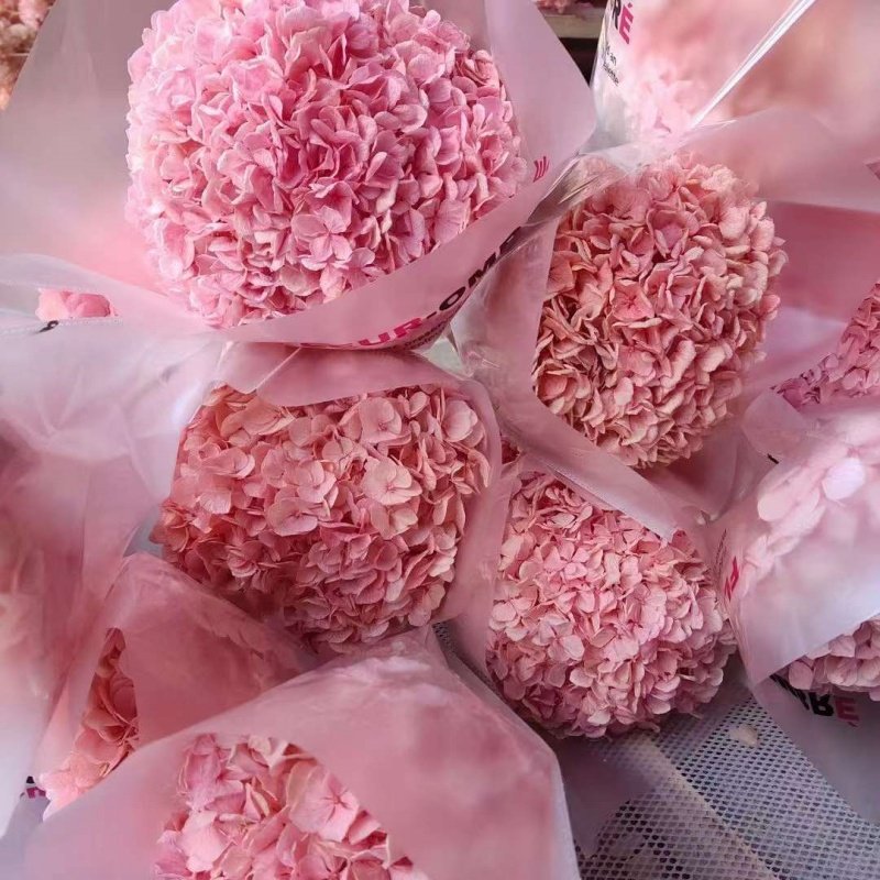 Factory Wholesale Big Leaf Hydrangea Dried Hydrangea Flowers For Wedding Decoration Handmade DIY Bouquet