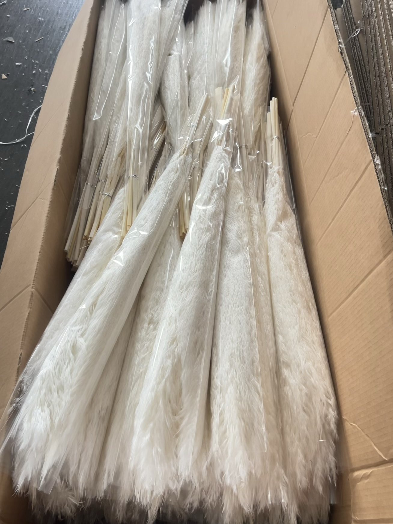 Y-B11 White Pampas Grass Dried Flower Fluffy Natural Decorative Element for Home Wedding Halloween or Graduation for Gifts