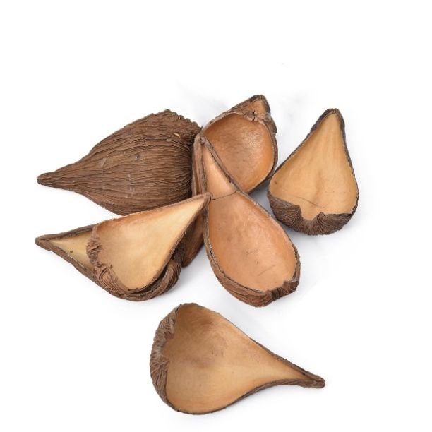 High Quality Wholesale Natural Pradeep Pod for Potpourri, DIY, Events Decor & Other Dried Flower Decor