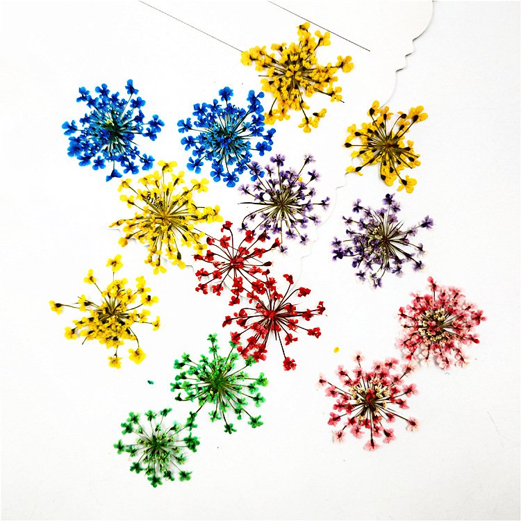 Hot sale Nail Art dried flowers nature pressed dried flowers for nail art dry flower nails