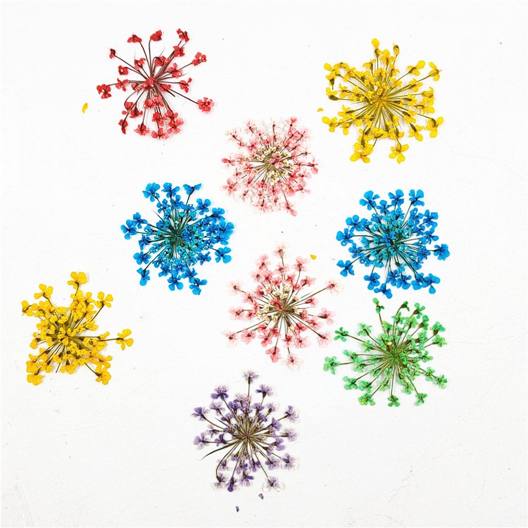 Hot sale Nail Art dried flowers nature pressed dried flowers for nail art dry flower nails