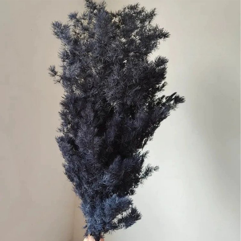 Yunnan Wholesale Natural Dried Preserved Plants Penglai Pine for Home Decoration Asparagus Myriocladus Ming Fern