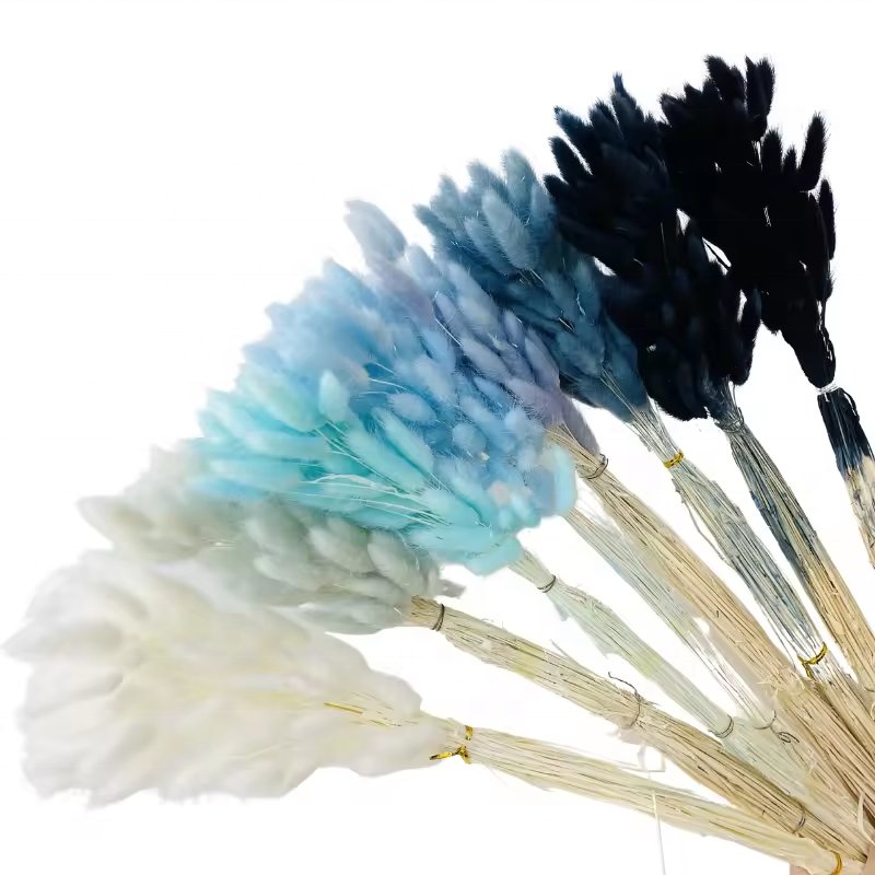 Longevity Dried Flowers Bunny Tail Grass Luxury Stabilized Bride Bouquet Flowers