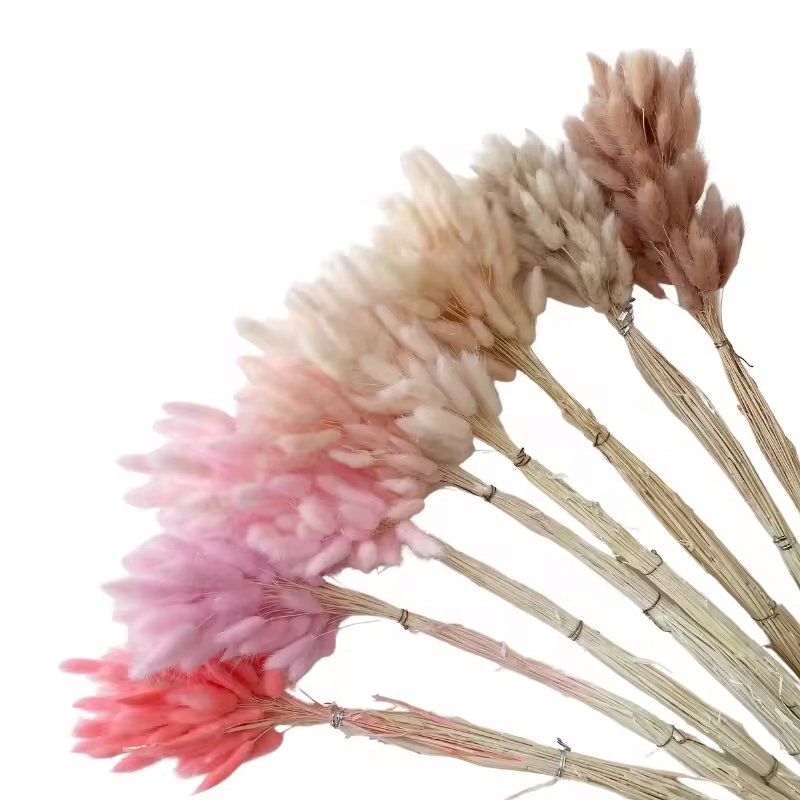 Longevity Dried Flowers Bunny Tail Grass Luxury Stabilized Bride Bouquet Flowers