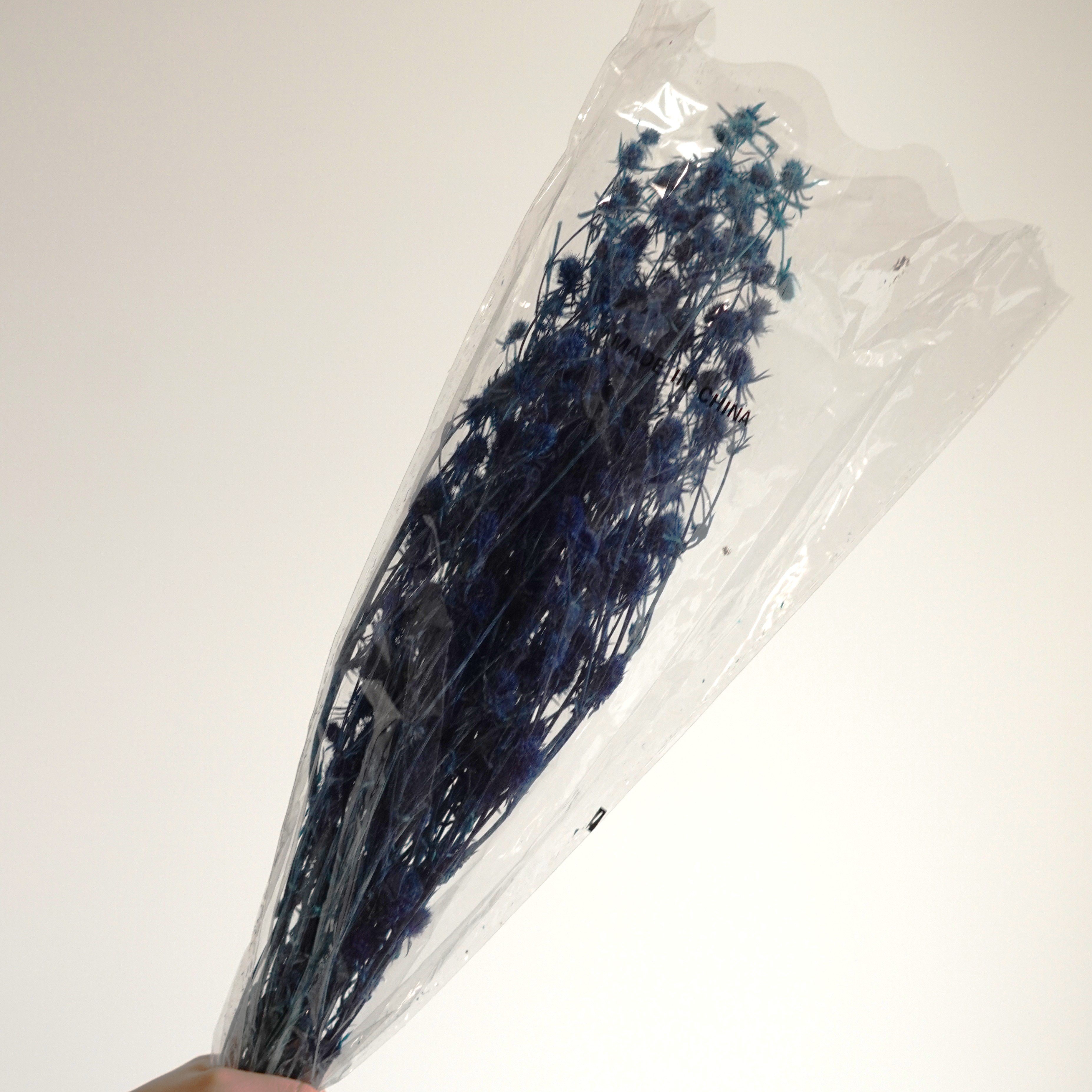 Dried Eryngium Blue Thistle Sea Holly DIY Crafting Home Wedding Decor Preserved Flowers Eryngium Sea Holly