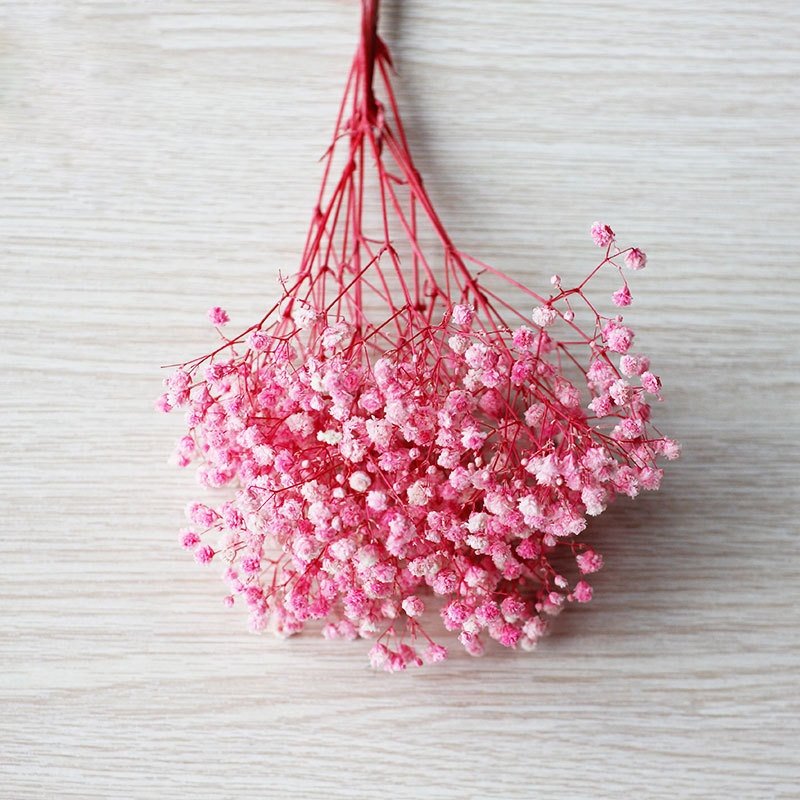 2024 Softdream Wholesale Decoration dried flower gypsophila bouquet dried preserved flowers babys breath for decor