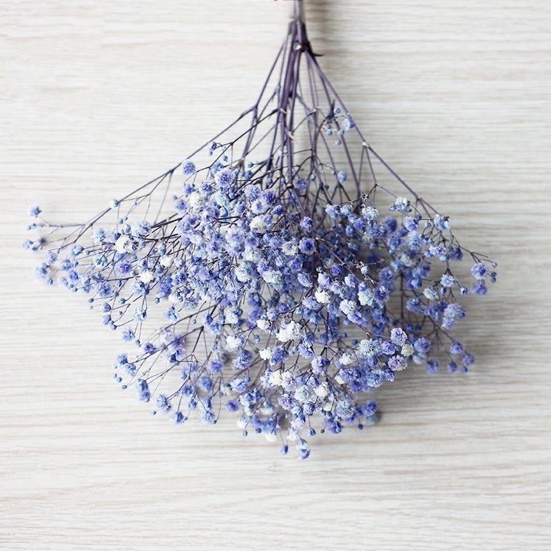 2024 Softdream Wholesale Decoration dried flower gypsophila bouquet dried preserved flowers babys breath for decor