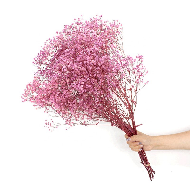 2024 Softdream Wholesale Decoration dried flower gypsophila bouquet dried preserved flowers babys breath for decor