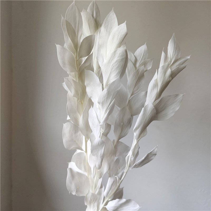 preserved foliage 2023 orange leaf long lasting dried flowers stems preserved dried flowers orange leaves for dry flower bouquet