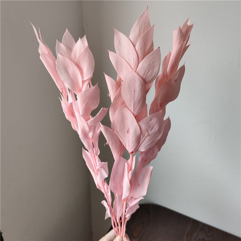 preserved foliage 2023 orange leaf long lasting dried flowers stems preserved dried flowers orange leaves for dry flower bouquet
