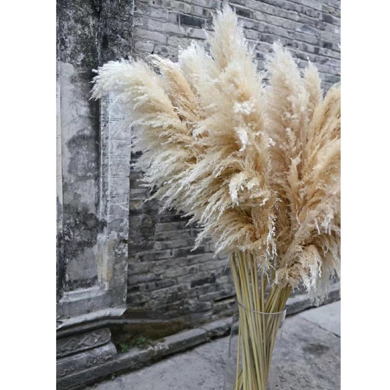 100-120 cm Big Dried Pampas Grass Wedding Centerpieces Bouquet Giant Wreath Natural Pampas