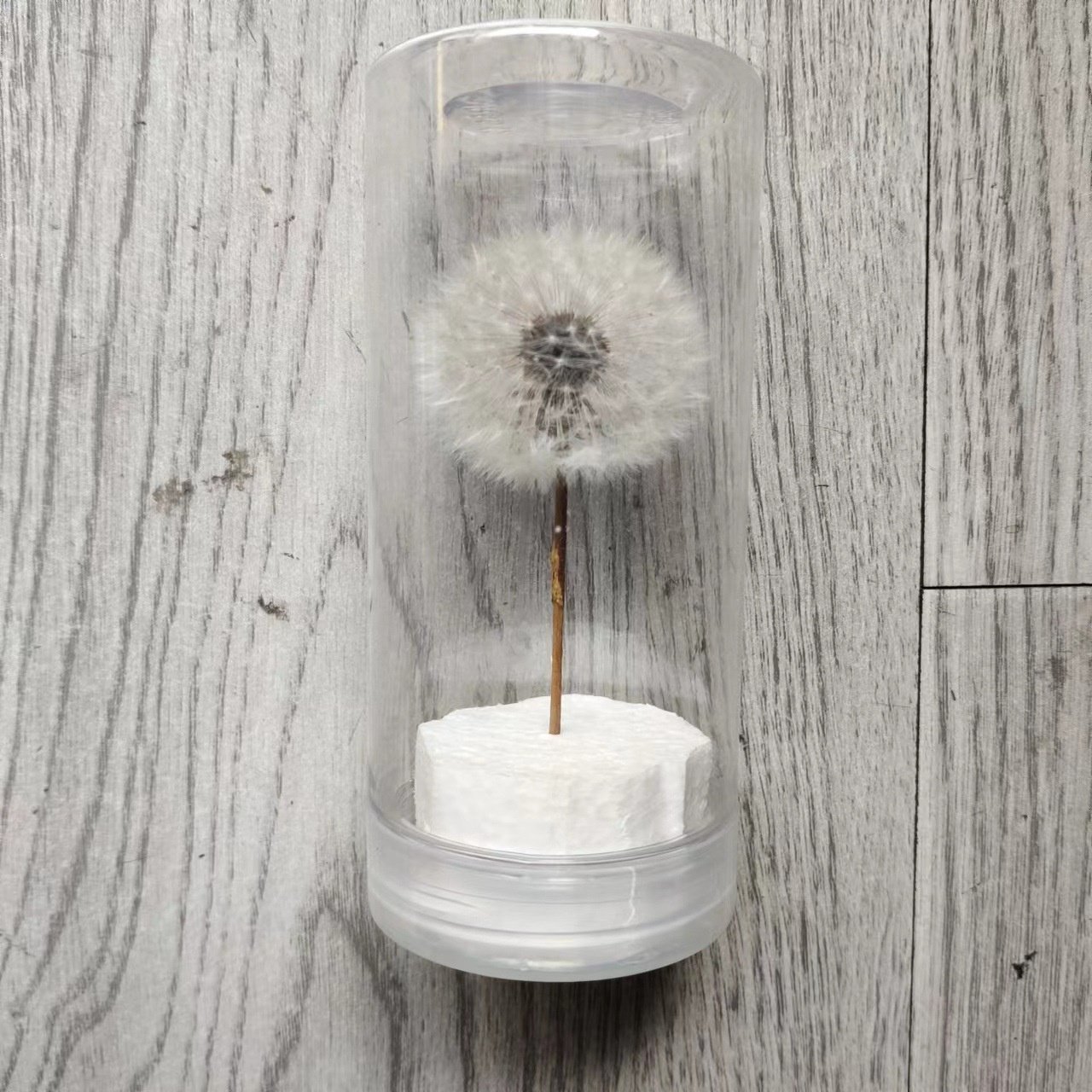 Dried dandelion flower eternal flower for handmade DIY raw material ornament decoration flower arrangement