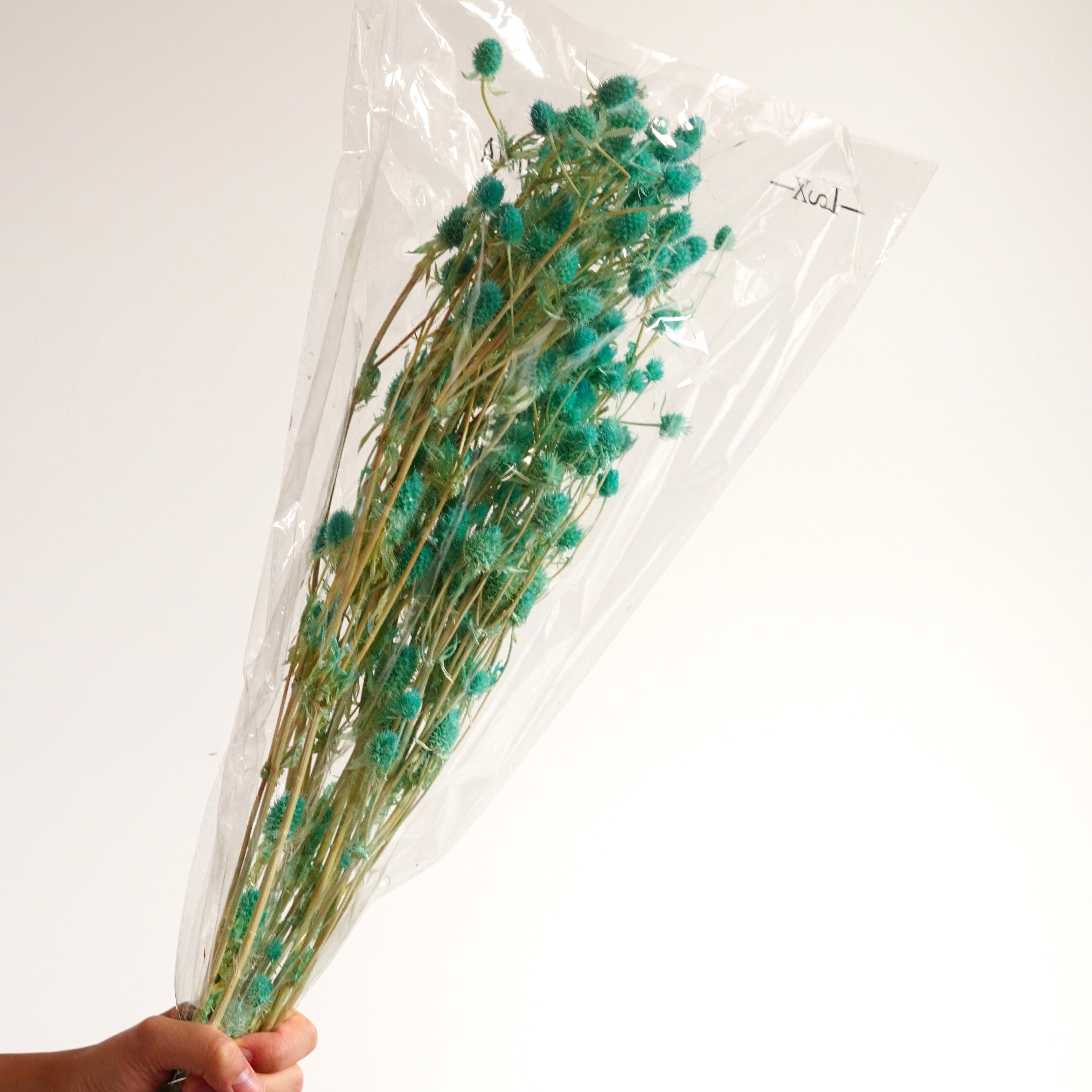 Dried Eryngium Blue Thistle Sea Holly DIY Crafting Home Wedding Decor Preserved Flowers Eryngium Sea Holly