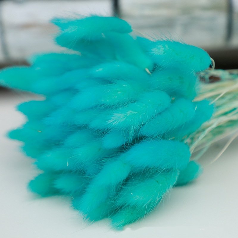 60 Pieces Of Colorful Rabbit Tail Grass Dried Flower Bouquet Dried Flowers&Plants Wholesale