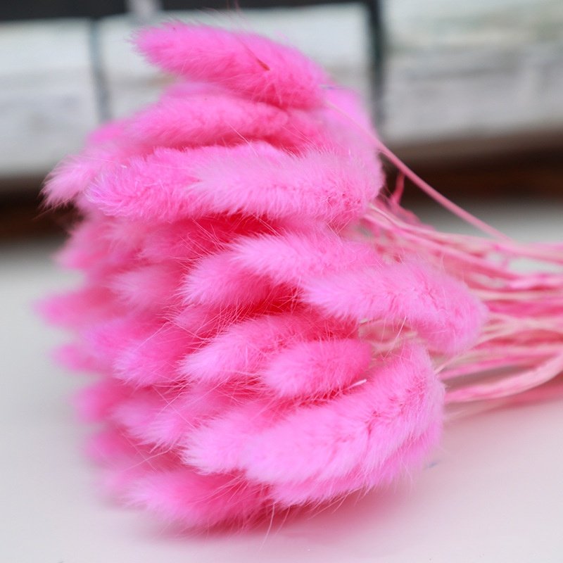 60 Pieces Of Colorful Rabbit Tail Grass Dried Flower Bouquet Dried Flowers&Plants Wholesale