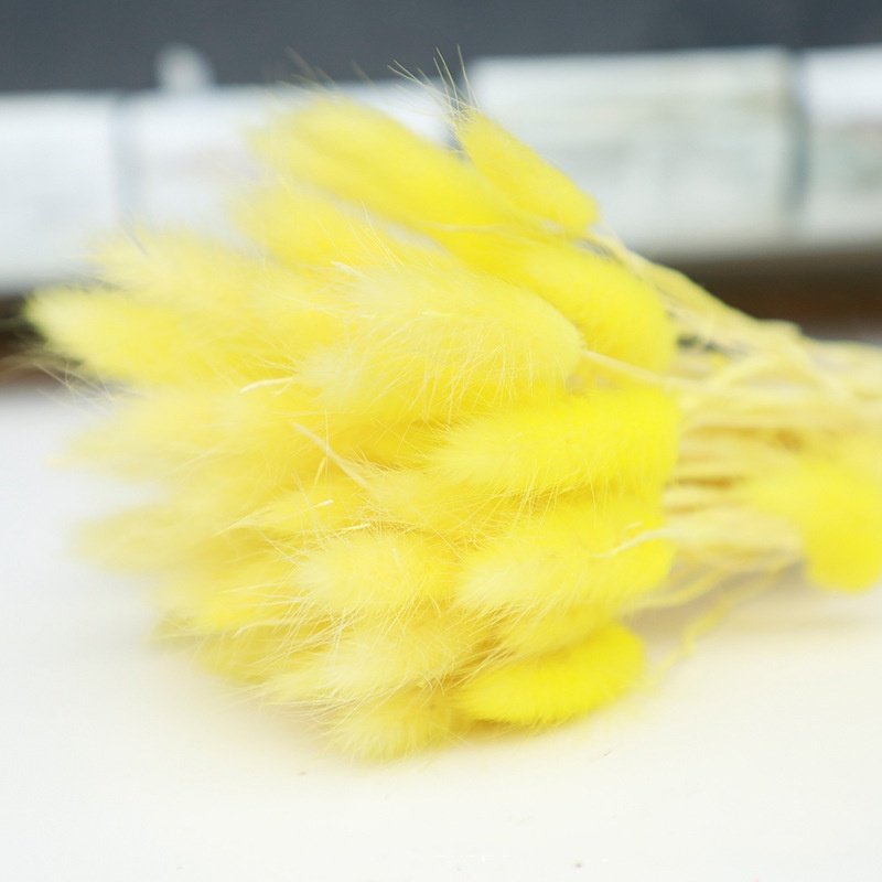 60 Pieces Of Colorful Rabbit Tail Grass Dried Flower Bouquet Dried Flowers&Plants Wholesale