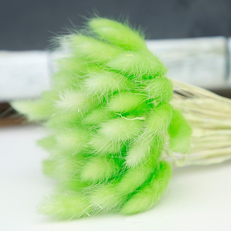 60 Pieces Of Colorful Rabbit Tail Grass Dried Flower Bouquet Dried Flowers&Plants Wholesale