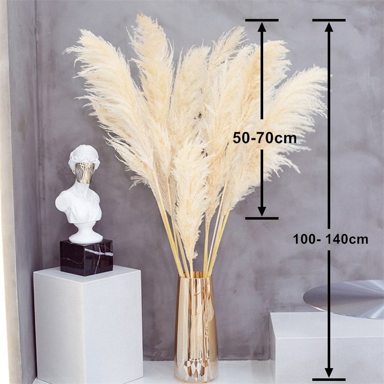 Natural Dried Decoration Dried Flowers White Pampas Grass Large for Wedding Decoration